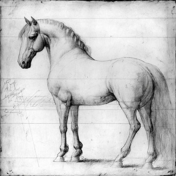 TableauRobot: Horse Leonardo Da Vinci